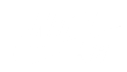 Nike SB